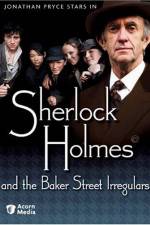 Watch Sherlock Holmes and the Baker Street Irregulars Myflixer