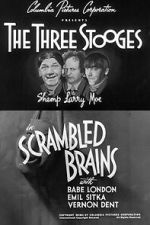 Watch Scrambled Brains Myflixer