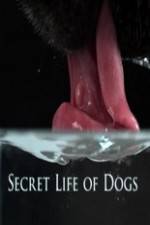 Watch Secret Life of Dog Myflixer