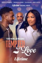 Watch Terry McMillan Presents: Tempted 2 Love Myflixer