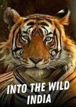 Watch Into the Wild India Myflixer
