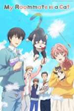 Watch My Roommate Is a Cat Myflixer