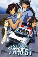 Watch You're Under Arrest Myflixer