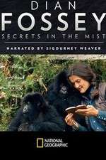 Watch Dian Fossey: Secrets in the Mist Myflixer