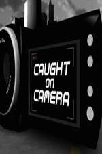 Watch Criminals Caught on Camera Myflixer