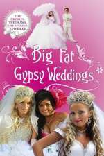 Watch Big Fat Gypsy Weddings Myflixer
