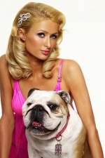 Watch Paris Hilton's British Best Friend Myflixer