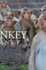 Watch Monkey Planet Myflixer