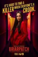 Watch Briarpatch Myflixer