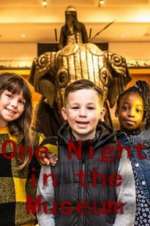 Watch One Night in the Museum Myflixer