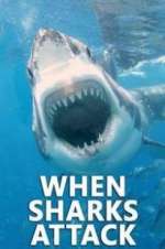 Watch When Sharks Attack Myflixer