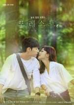 Watch Forest Myflixer