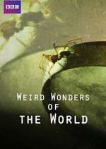Watch Weird Wonders of the World Myflixer