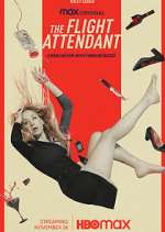 Watch The Flight Attendant Myflixer