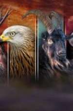 Watch Wales: Land of the Wild Myflixer