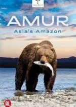 Watch Amur Asia's Amazon Myflixer