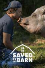 Watch Saved by the Barn Myflixer
