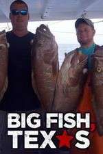 Watch Big Fish Texas Myflixer