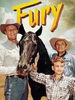 Watch Fury Myflixer