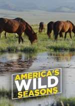 Watch America's Wild Seasons Myflixer