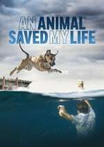 Watch An Animal Saved My Life Myflixer