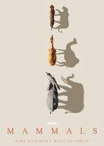 Watch Mammals Myflixer