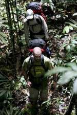 Watch Walking The Amazon Myflixer