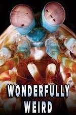 Watch Wonderfully Weird Myflixer
