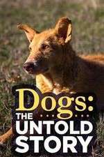 Watch Dogs: The Untold Story Myflixer