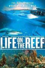 Watch Life on the Reef Myflixer