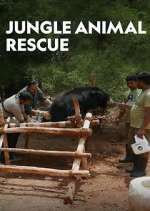 Watch Jungle Animal Rescue Myflixer
