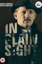 Watch In Plain Sight Myflixer