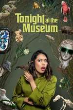 Watch Tonight At The Museum Myflixer