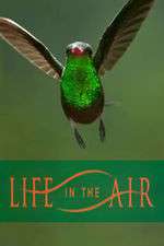 Watch Life in the Air Myflixer