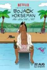 Watch BoJack Horseman Myflixer