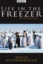 Watch Life in the Freezer Myflixer
