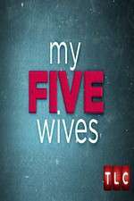 Watch My Five Wives Myflixer