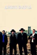 Watch Amish Mafia Myflixer