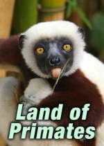 Watch Land of Primates Myflixer