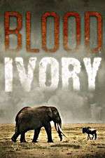 Watch Blood Ivory Myflixer