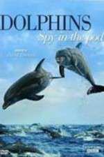 Watch Dolphins: Spy in the Pod Myflixer