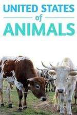 Watch United States of Animals Myflixer