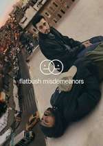 Watch Flatbush Misdemeanors Myflixer