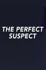 Watch The Perfect Suspect Myflixer