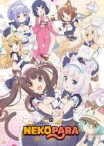 Watch Nekopara Myflixer