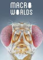 Watch Macro Worlds Myflixer