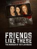 Watch Friends Like These: The Murder of Skylar Neese Myflixer