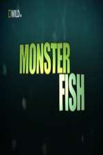 Watch National Geographic Monster Fish Myflixer