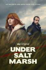 Watch Under Salt Marsh Myflixer