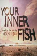 Watch Your Inner Fish Myflixer